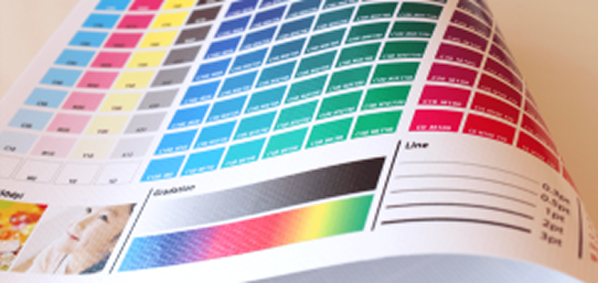 ビニール生地のイメージ