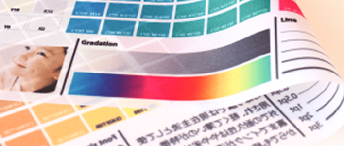 テトロンポンジ生地のイメージ